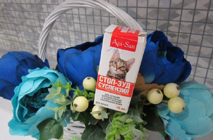 Suspensión para gatos «Stop-zud»