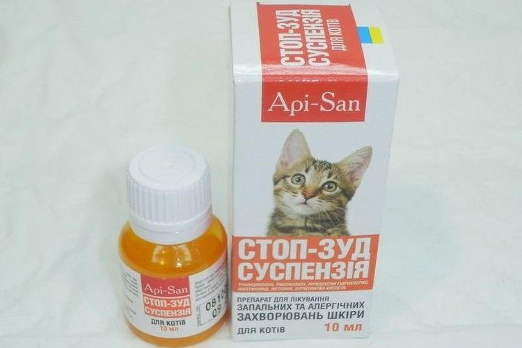 Suspensión Stop-zud para gatos