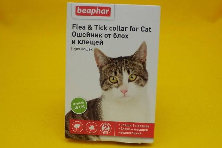 Collar para gato Beafar