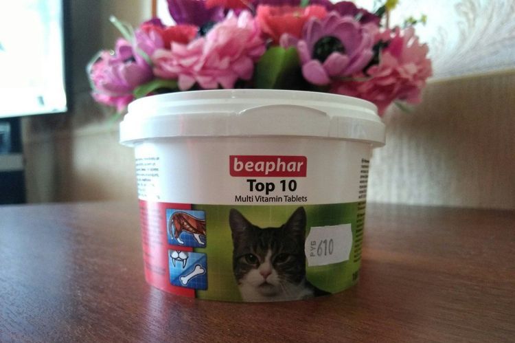 Vitaminas Beaphar para gatos