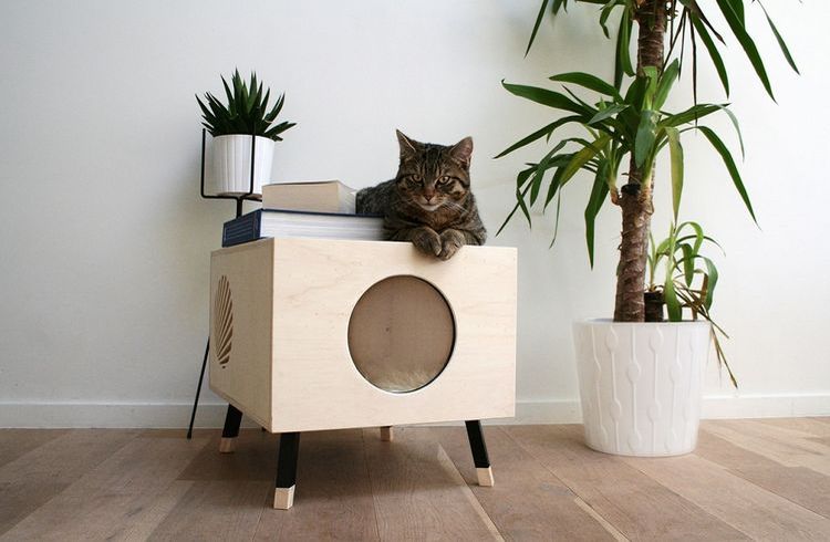 Casa para gatos de contrachapado
