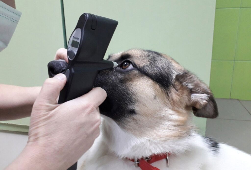 Diagnóstico del glaucoma