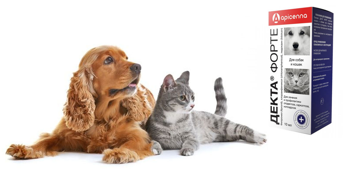 Decta forte para perros y gatos