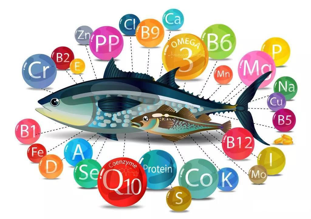pescado