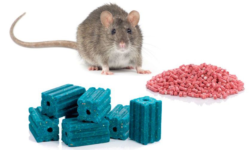 Veneno para ratas