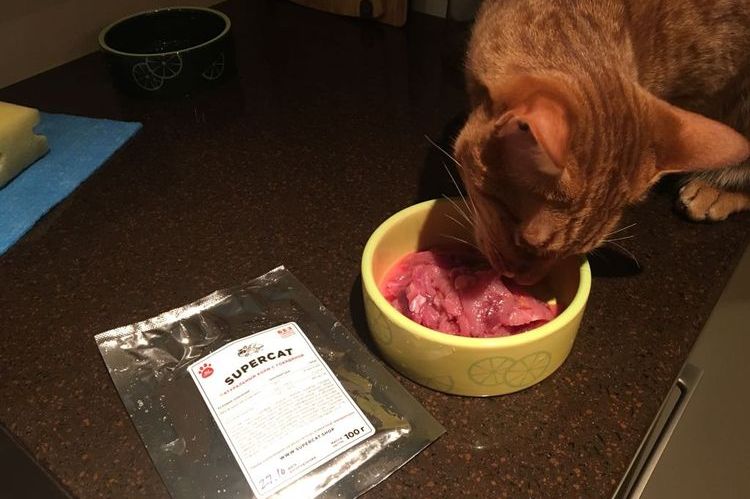 Un gato come comida natural Superpet