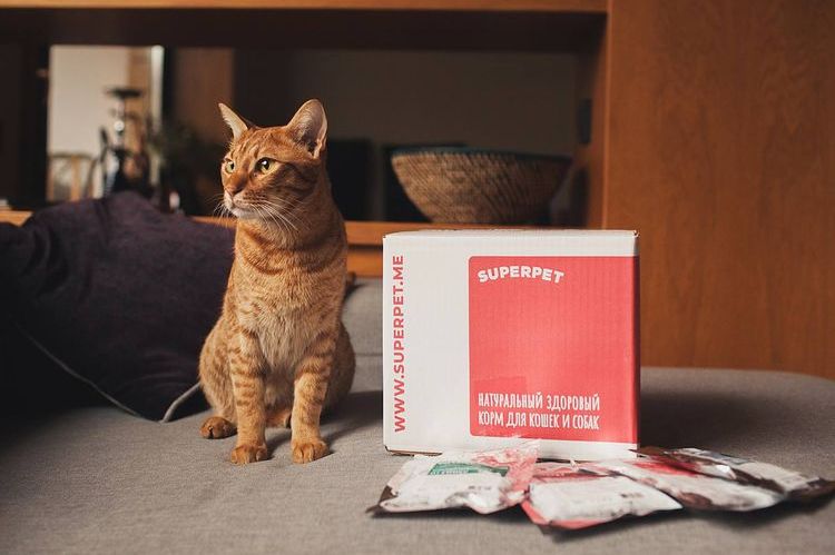 Pienso para gatos Superpet