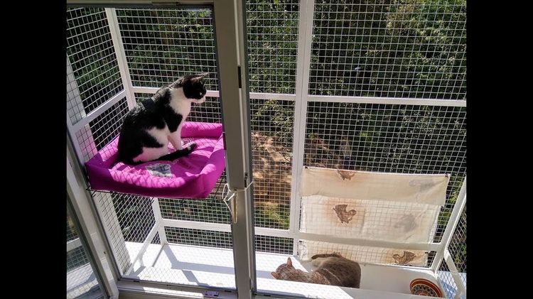 Malla de balcón para gatos