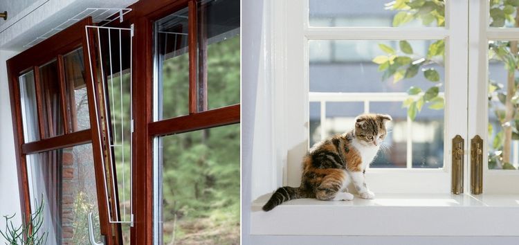 Protección para ventana abatible contra gatos