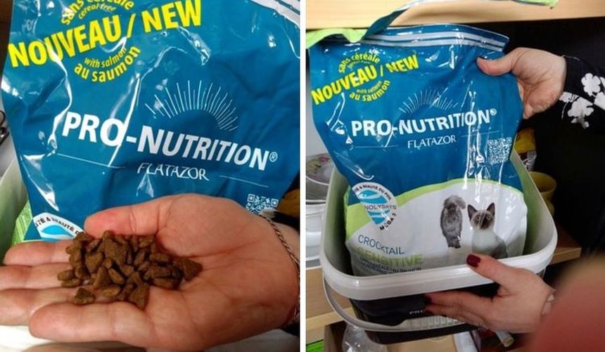 Alimento para gatos Flatazor