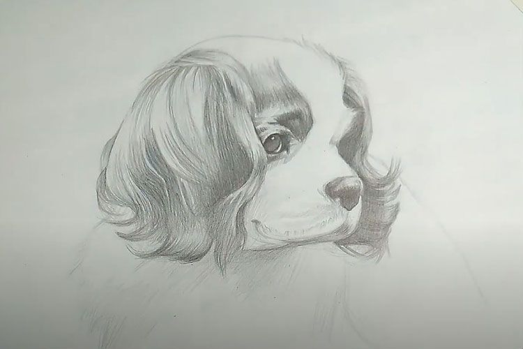 Dibujo a lápiz