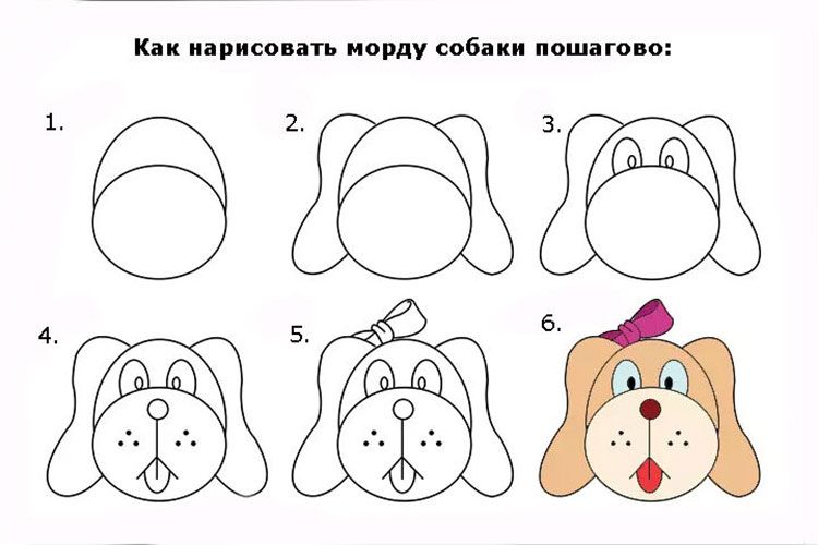 Perro de dibujos animados