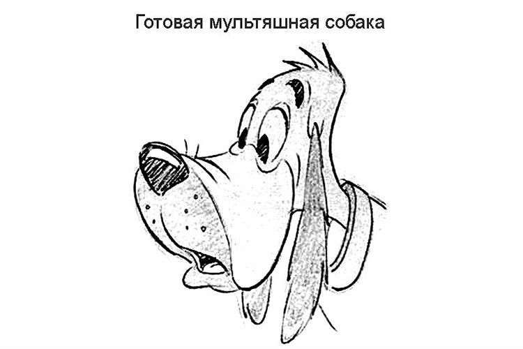 Pluto divertido
