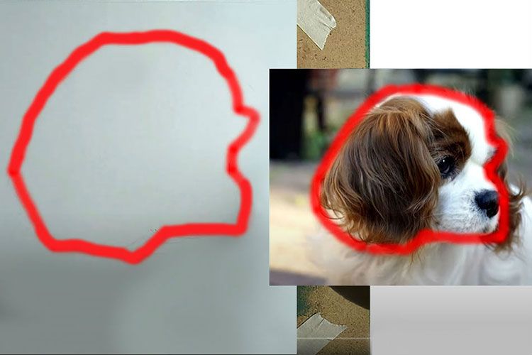 Perro y boceto