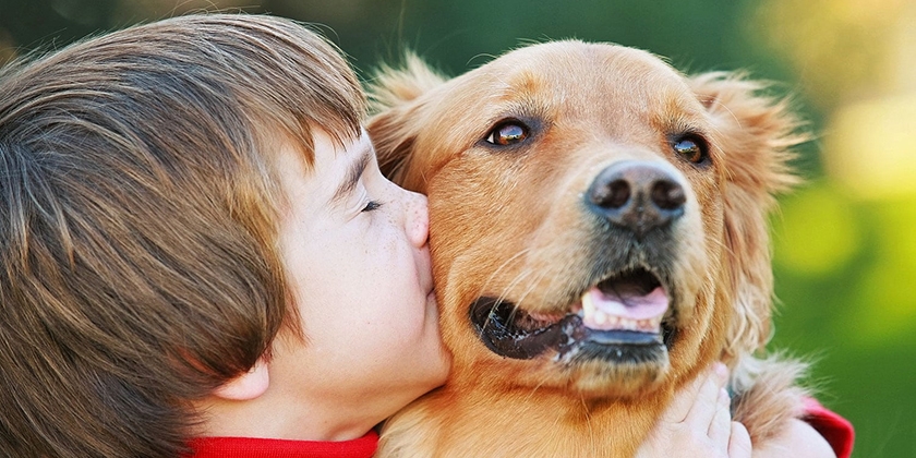 Qué perro tener para un niño