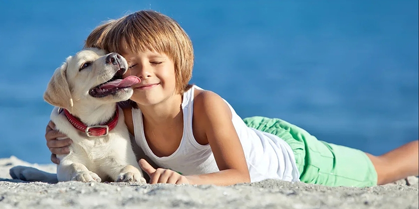 Niño con cachorro de labrador