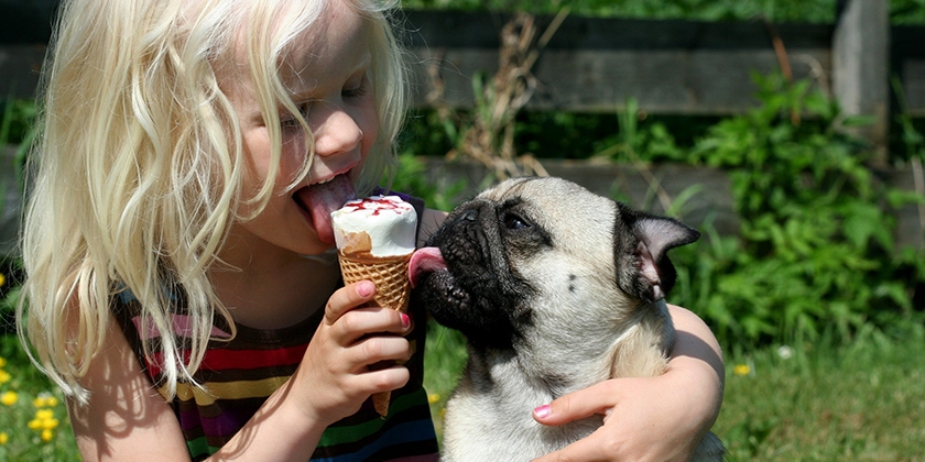 Niña y carlino