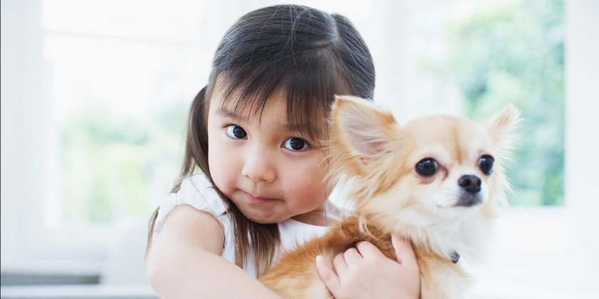 Niña y chihuahua