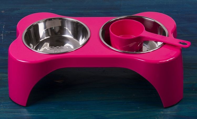 Cuenco doble para gato sobre soporte