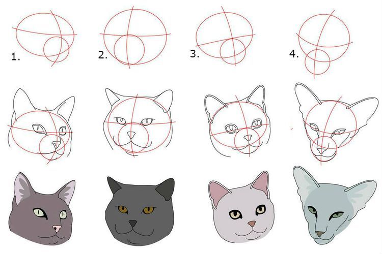 Dibujo de la cara de un gato