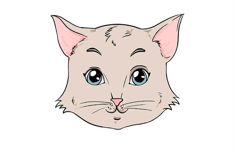 Dibujo paso a paso de la cara de un gato anime