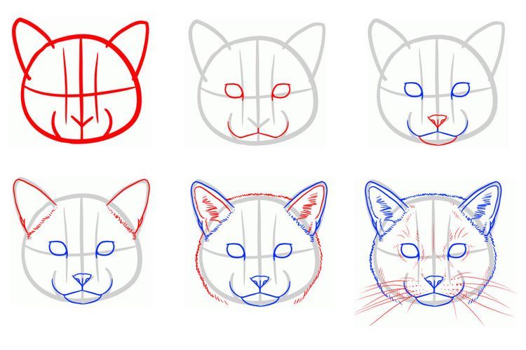 Dibujo de la cara de un gato