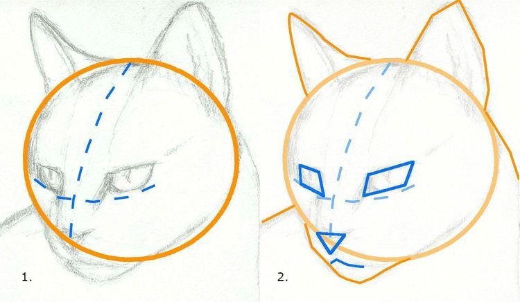 Cómo dibujar la cara de un gato paso a paso