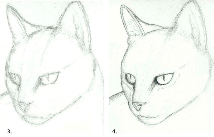 Cómo dibujar la cara de un gato paso a paso