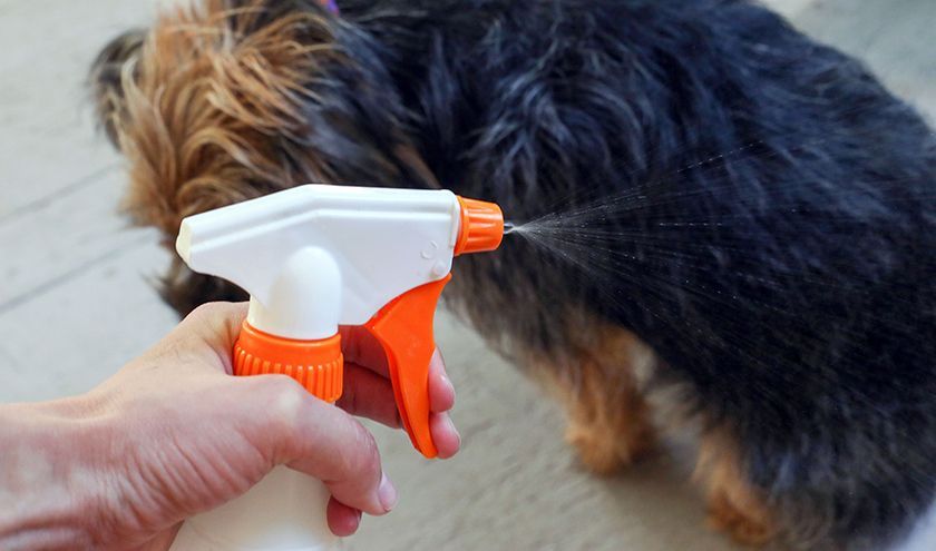 Sprays para perros