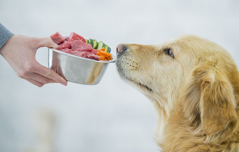 Natürliche Ernährung für Hunde