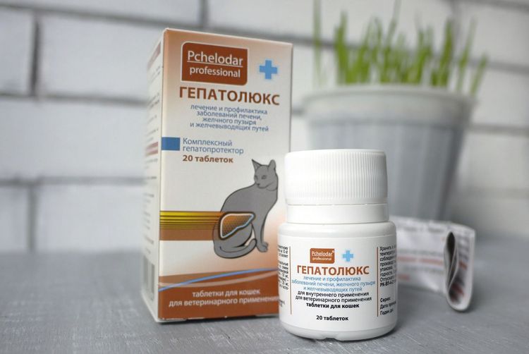 Hepatolux para gatos