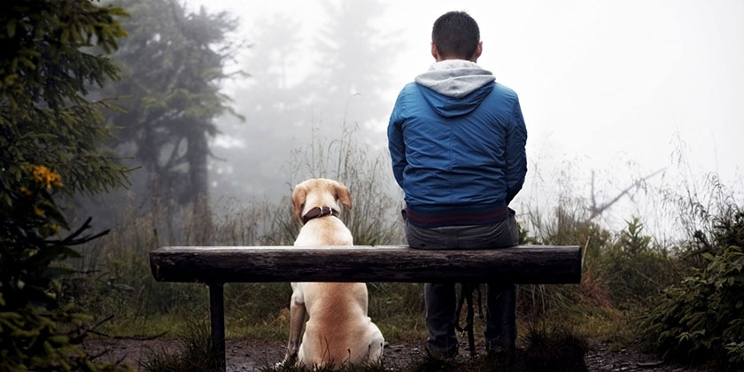 Un perro con su dueño
