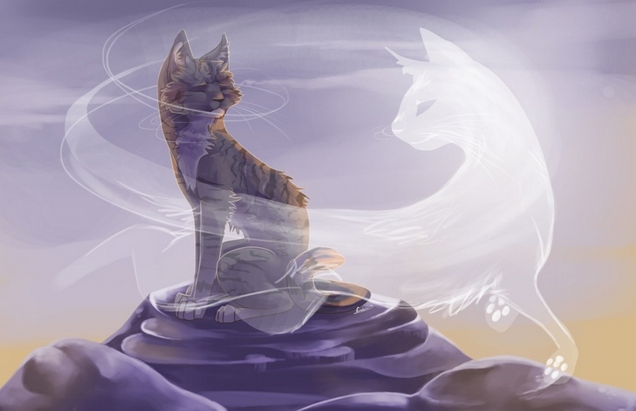 Dibujo de un gatito