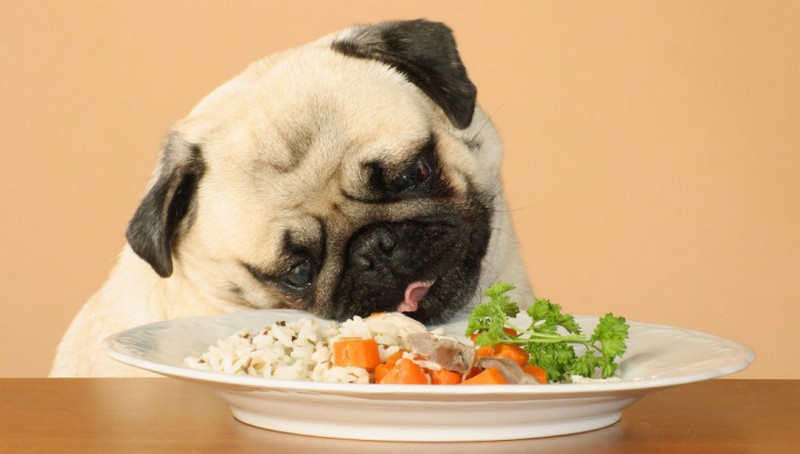 Carlino