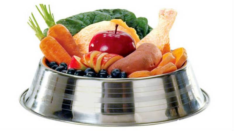 Verduras para perros