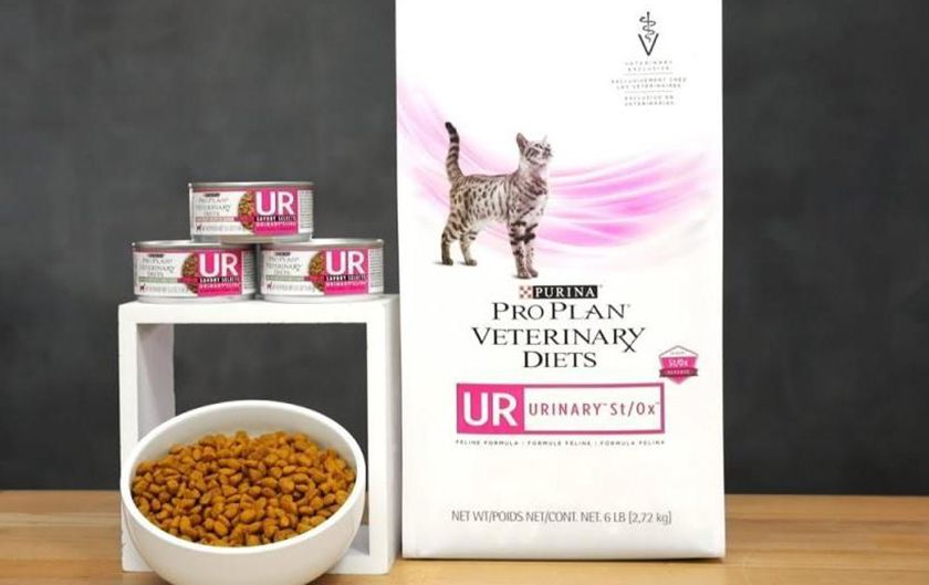 Alimento Purina Urinary