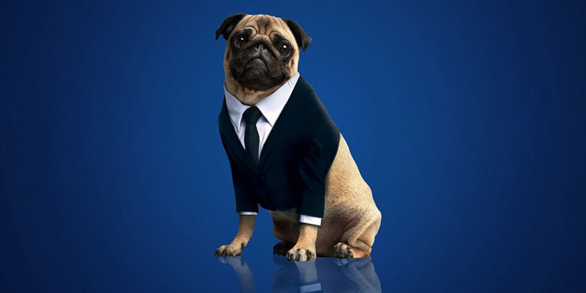 Perro de "Hombres de Negro"