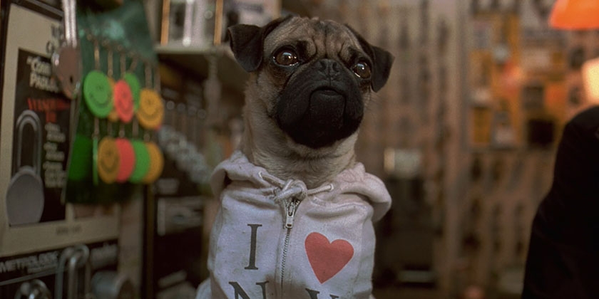 Carlino de la película