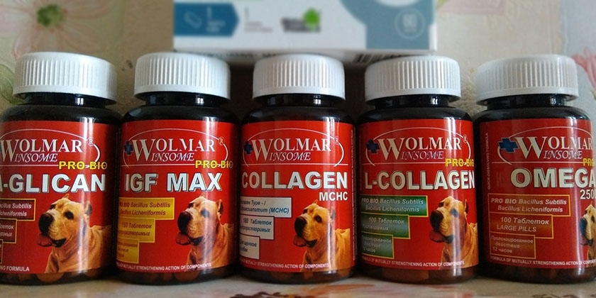 Vitaminas para perros Wolmar