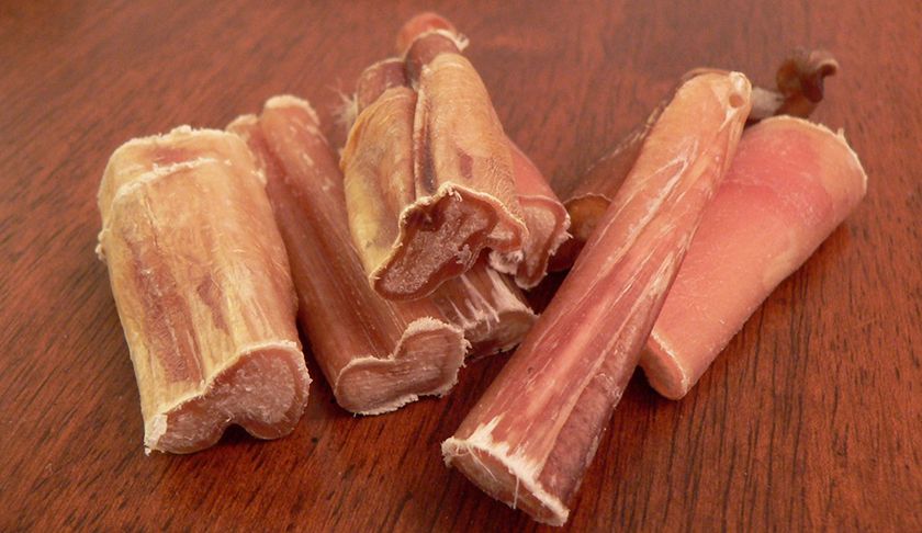 Pene seco para perros