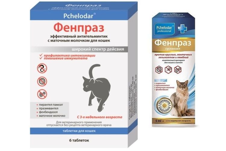 Fenpraz para gatos