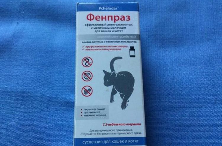 Suspensión de Fenpraz para gatos