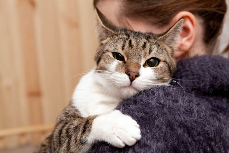 Gata y dueña