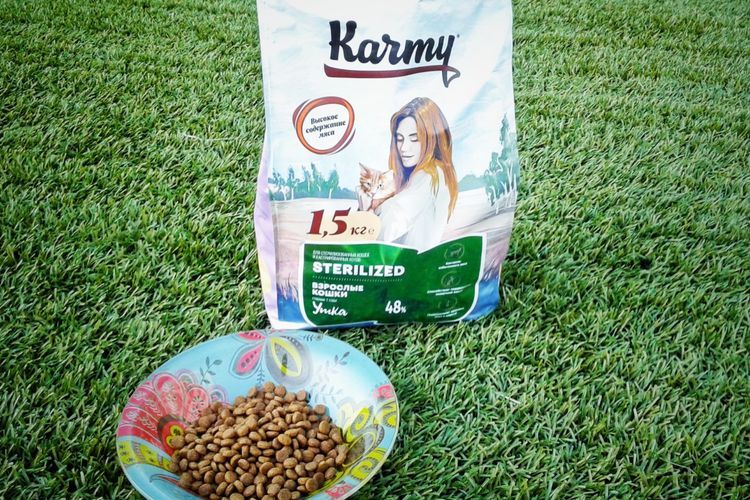 Alimento Karmy para gatos