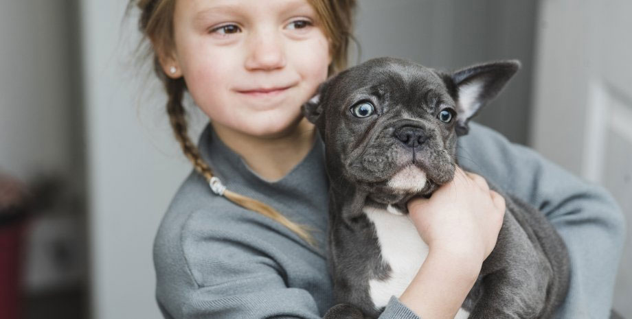 ¿Se transmite el rotavirus de humanos a perros y viceversa?
