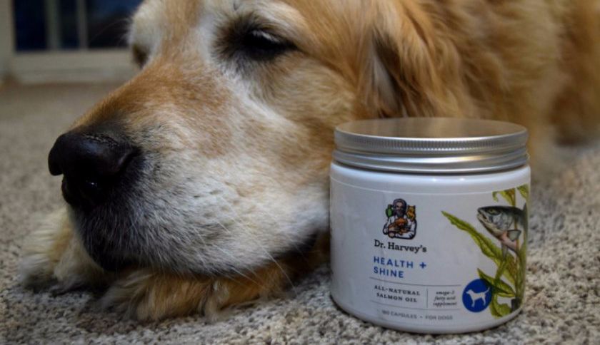 Aceite de pescado para perros