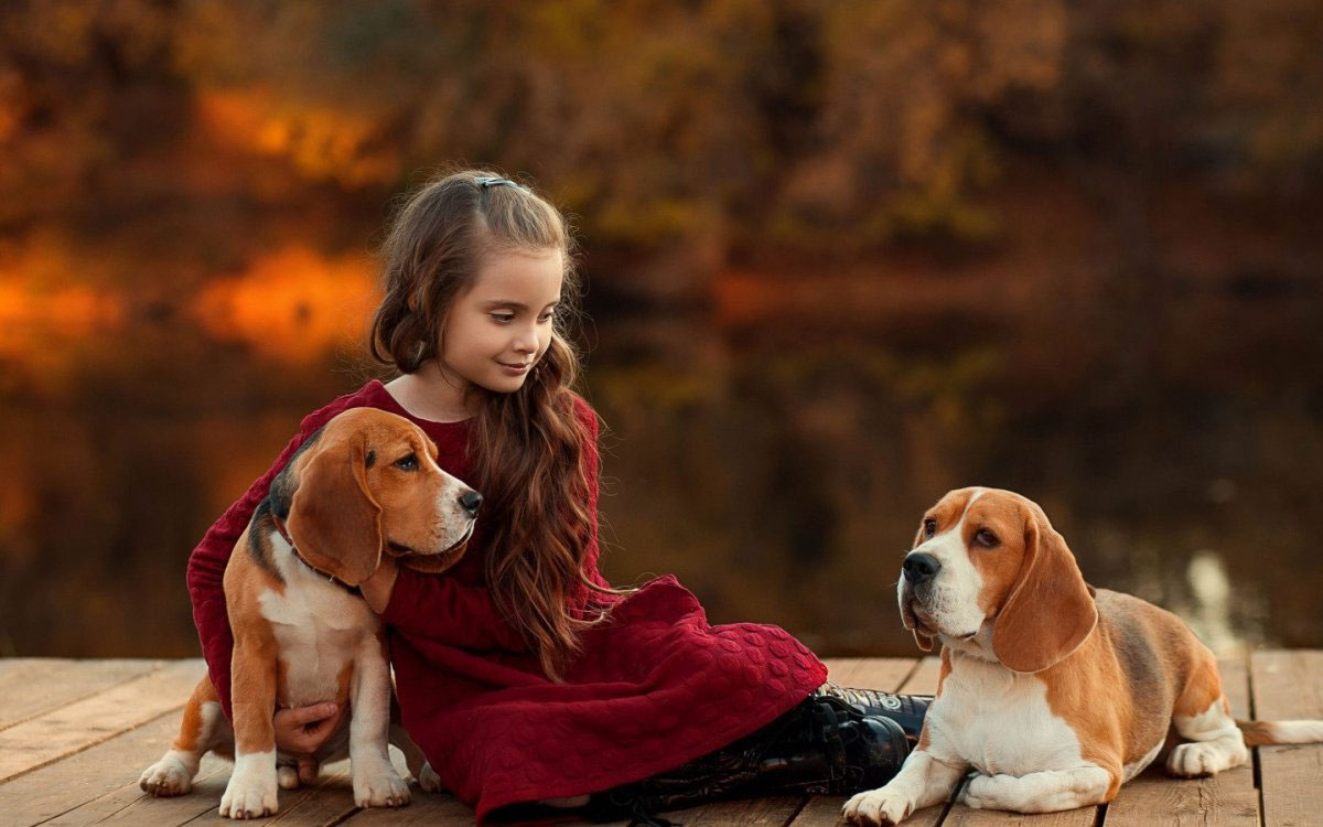 El niño y el perro Beagle