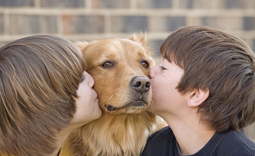 Perro y niños
