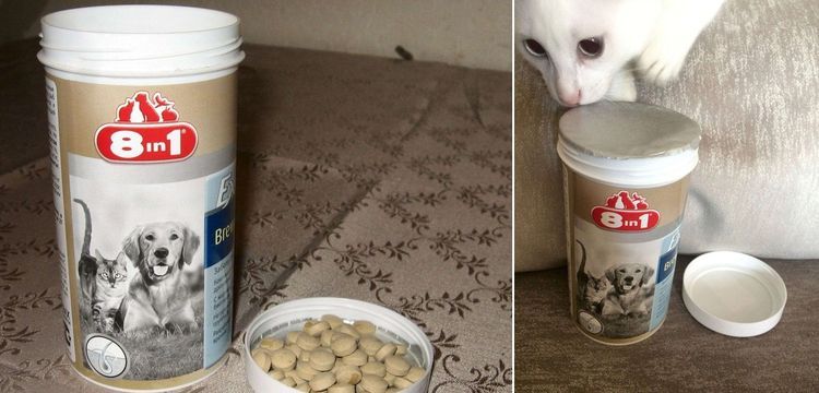 vitaminas para gatos Excel Brewers East 8 in 1
