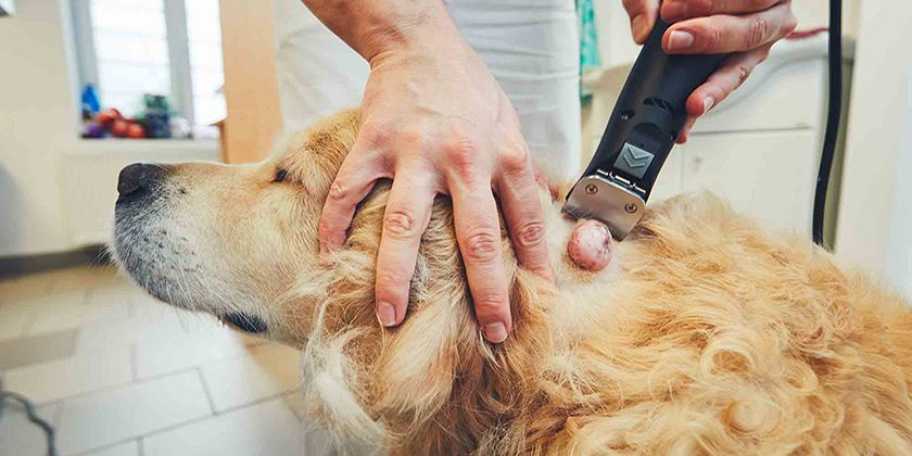 Preparación para la extirpación del lipoma